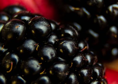 macro photography of blackberries on black background