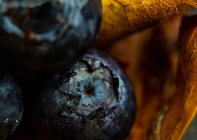 macro photography of blueberries on brown leaf